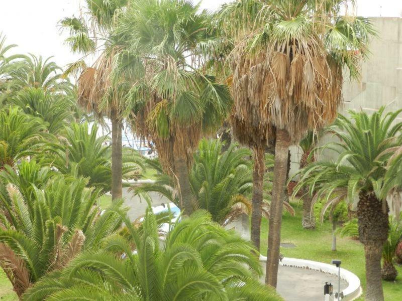 Beach-Front Tenerife Sth Sea And Pool View Apartment กอสตา เดล ซิเลนซิโอ ภายนอก รูปภาพ